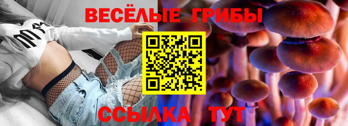 где купить   Галлюциногенные грибы Magic Shrooms  Галлюциногенные грибы ЛСД  Вход с VPN  Чернушка 