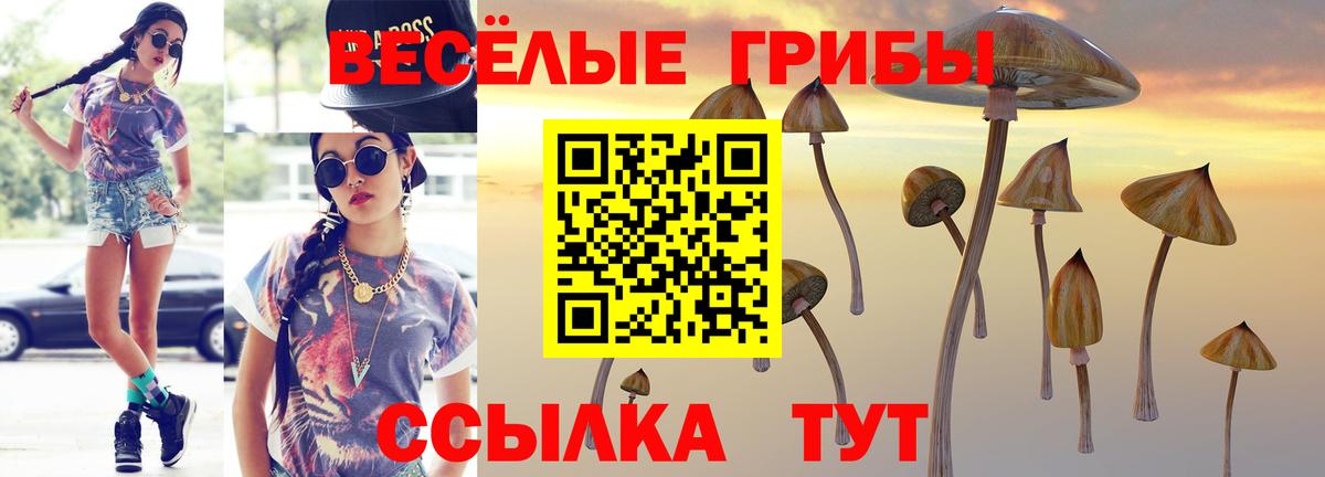 Галлюциногенные грибы MAGIC MUSHROOMS Чернушка